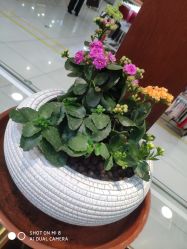 -灵彩珠宝(朗香街店)