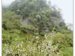-陕西省红河谷森林公园