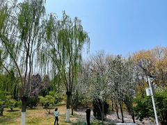 -南翠屏公园