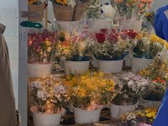 -大学城夜市大排档(凤栖路店)