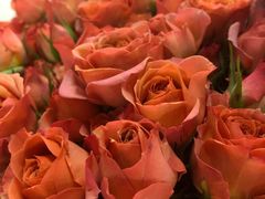 -循礼门鲜花花市(武汉循礼门店)