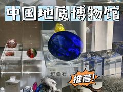 -中国地质博物馆