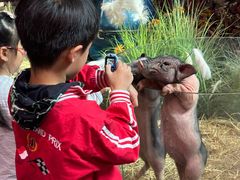 -正佳雨林生态植物园
