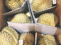 -西郊国际农产品交易中心