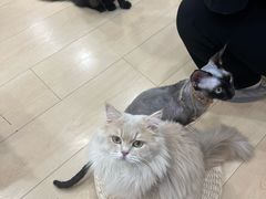 -石家庄万象城