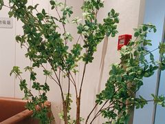 -菲滋意式餐厅(富阳东方茂店)
