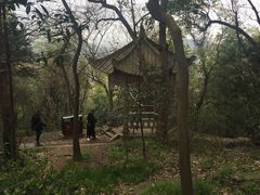 -上海佘山国家森林公园西佘山园