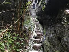-冠豸山景区