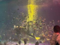 -常州海昌海洋探索馆