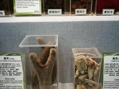 -北京中医药大学-中医药博物馆