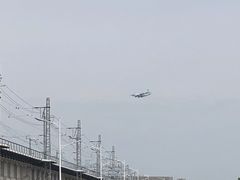 -丁香湖公园