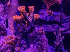 -沈阳海洋探索中心