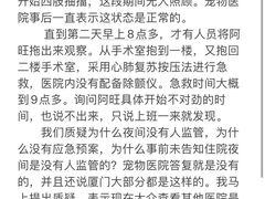 -安安宠医宠物医院·异宠·犬猫内科(岳阳分院)