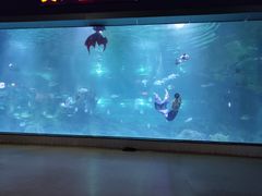 -福州罗源湾海洋世界旅游区