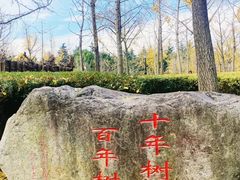 -黄兴公园