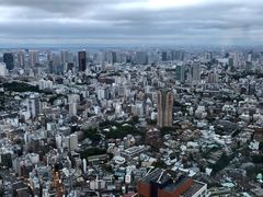 -六本木新城展望台(东京城市景观)