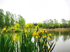 -东郊湿地公园