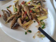 -领鲜土菜馆