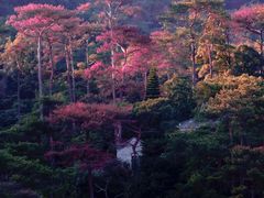 -飞霞风景名胜区