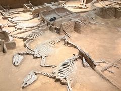 -洛阳周王城天子驾六博物馆