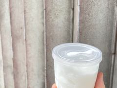 -洪馨椰子