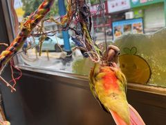 -吾叁·吉趣鸟咖(万科店)