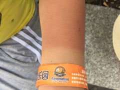 -南京银杏湖乐园