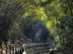 -凤栖山