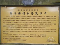 -福建鲤鱼洲酒店