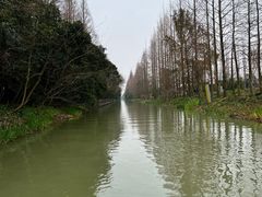 -上海长兴岛郊野公园