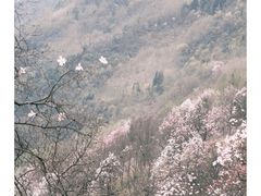 -九皇山景区