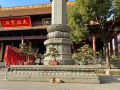 -太平禅寺