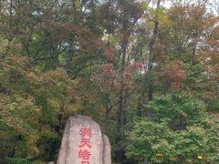 -五女峰国家森林公园