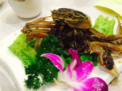 -老克勒上海菜(南京路步行街店)