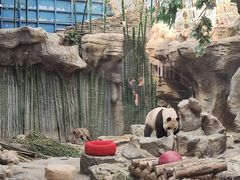 -北京动物园
