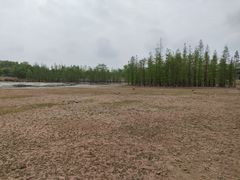 -白鹭湾湿地公园