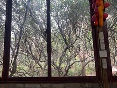 -柴火农家饭(遇龙河店)