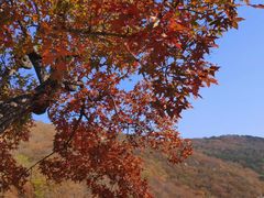 -寒同山神仙洞