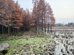 -云龙湖旅游景区