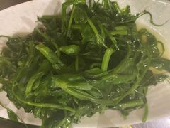 清炒豌豆尖-渝信川菜(工体店)