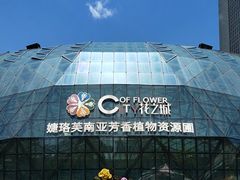 -花之城