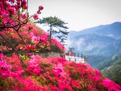 -木兰云雾山