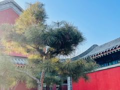 -莲池书院博物馆