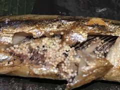 -石葵(锦业时代店)