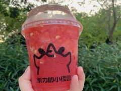 -茶力的小怪兽(梅林卓悦汇店)