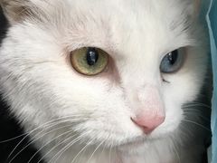 -康乐宝动物医院