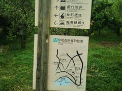 android_upload_pic-三山岛