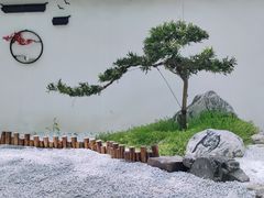 -东平国家森林公园