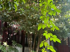 -祝家花園(伯渎港店)