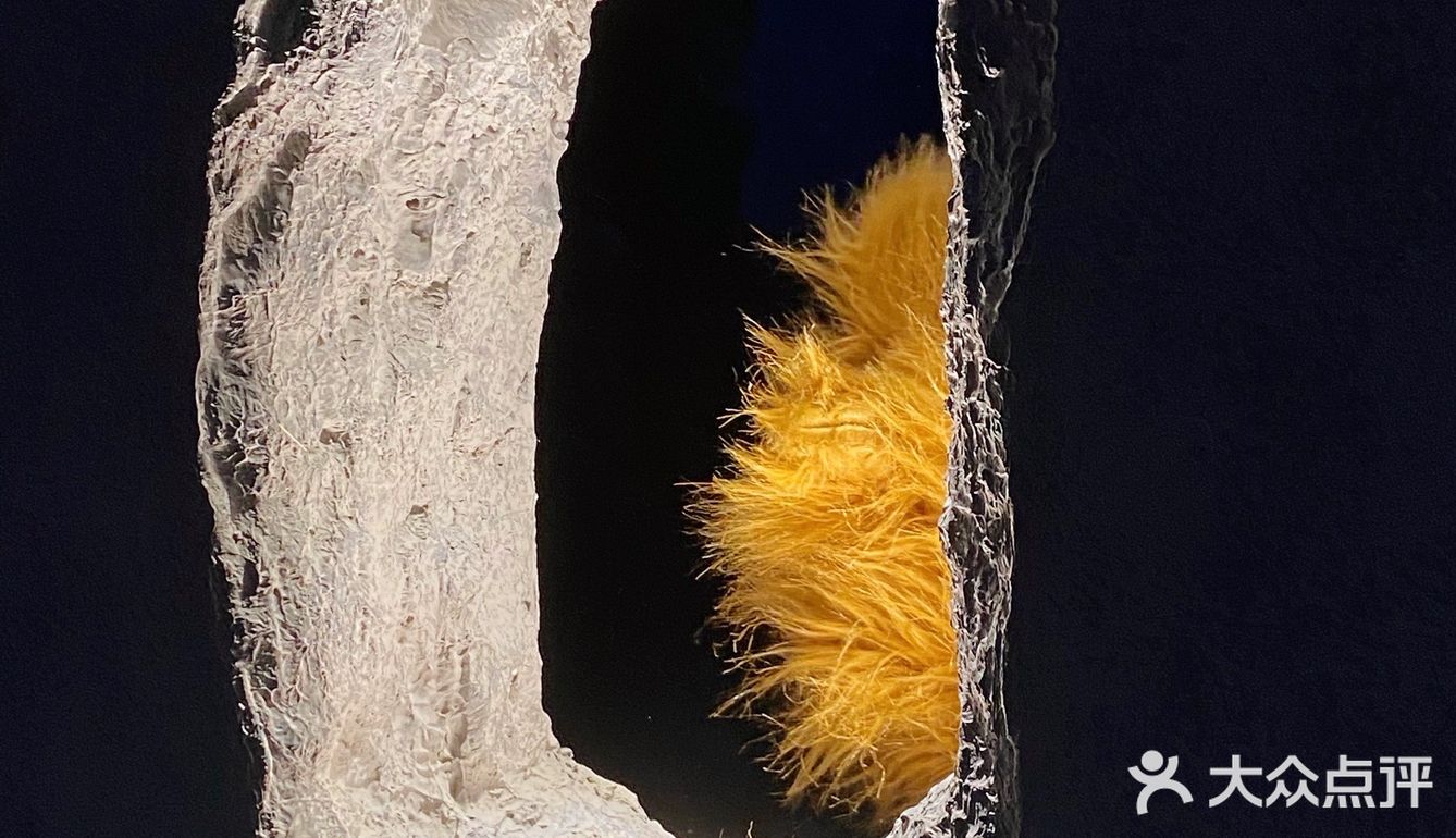 魔都新店|永康路上的神秘洞穴咖啡店☕